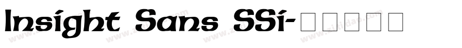 Insight Sans SSi字体转换